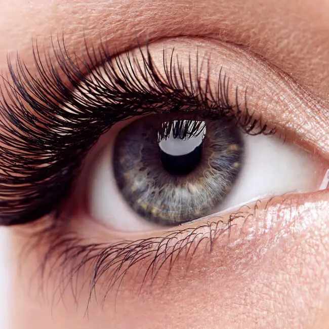 Close-up of a beautiful eye with long, natural-looking eyelash extensions at Sangkent Beauty House in Damansara Uptown.